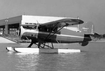 CF-GDN