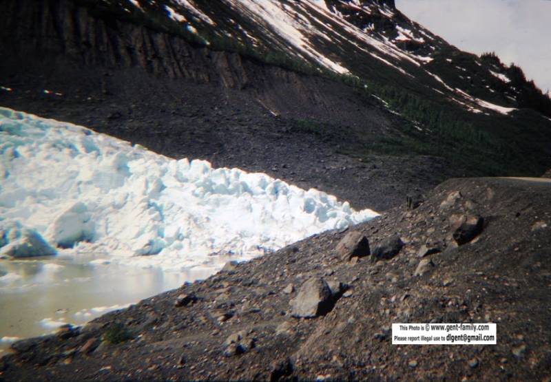 bear_glacier_100_7258-0003.jpg