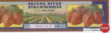 c_f._swanson_remo_strawberries_label.jpg