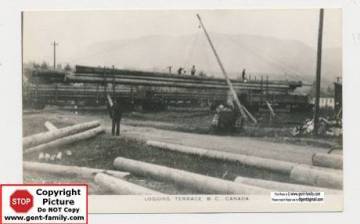 cedar_pole_loading_terrace.jpg