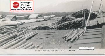 cedar_pole_yard_in_terrace.jpg