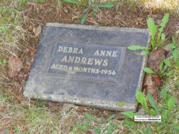 debra_anne_andrews.jpg