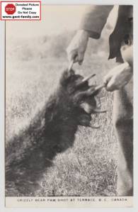 grizzly_bear_paw_shot_at_terrace.jpg