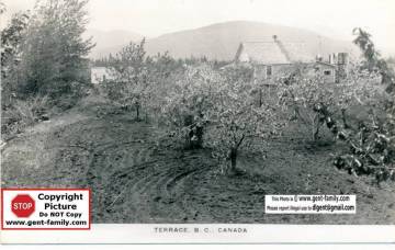 house_and_fruit_farm_terrace.jpg