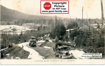 logging_near_terrace.jpg