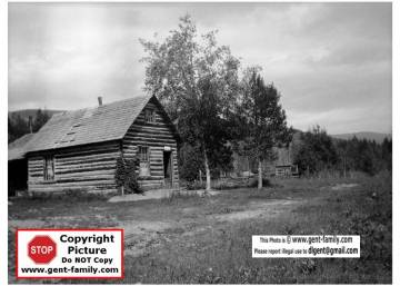 lornecreekpolambphoto.jpg