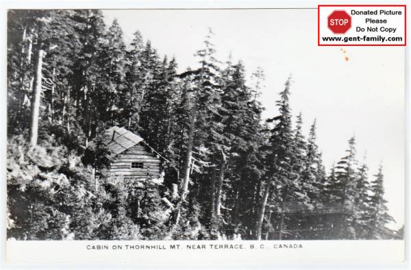 Cabin on Thornhill Mountain
