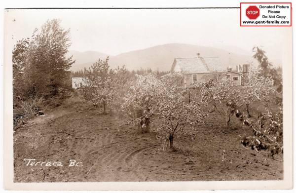 Homestead in Terrace