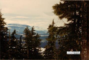 ron_anderson_bag716.jpg