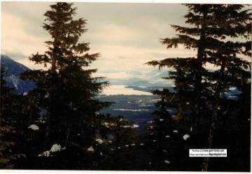 ron_anderson_bag717.jpg