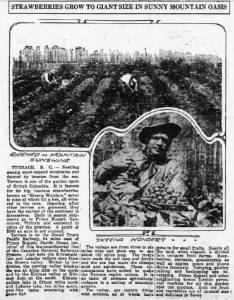skeenawonderstrawberryadca1921.jpg