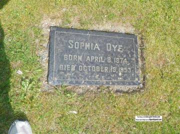 sophia_dye.jpg