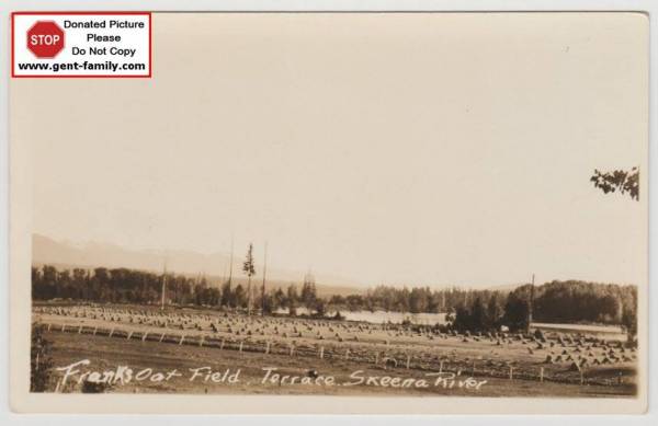 Frank's Oat Field, West end of Terrace