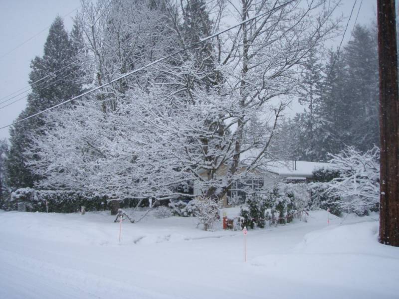 house_during_snowstorm_feb_2011.jpg